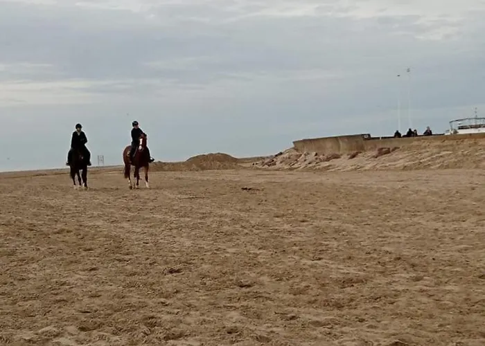 Un Chez Soi Bord De Apartman *