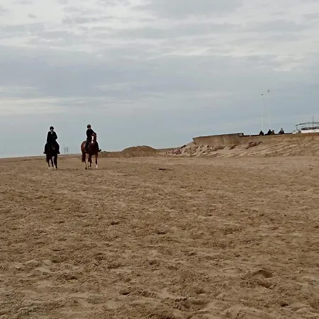 Un Chez Soi Bord De Appartement *
